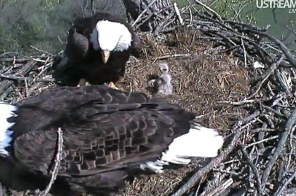 ScreenHunter_10 Apr. 01 13.48.jpg